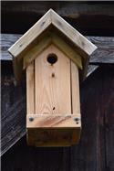 Veranstaltungsbild Vogelhäuser bauen und bemalen